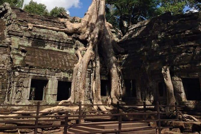 Siem Reap Morning Market & Food Tour by Tuk Tuk - What the $39 price really covers