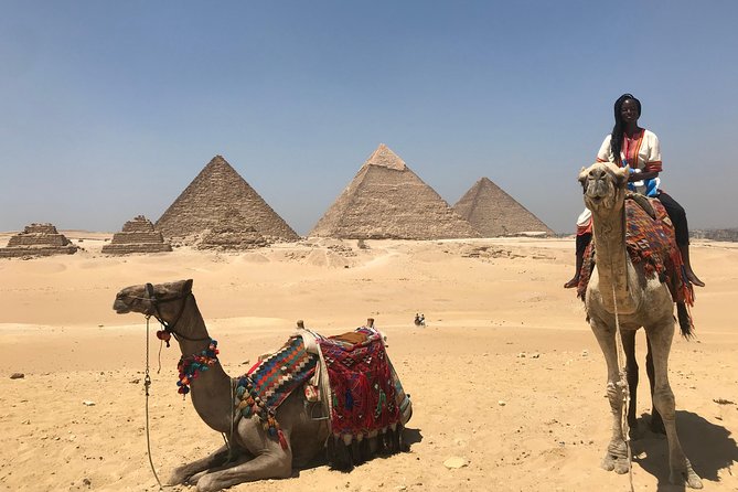Sightseeing Day Tour to Pyramids, Egyptian Museum and Bazaar - The Egyptian Museum and five thousand years of art