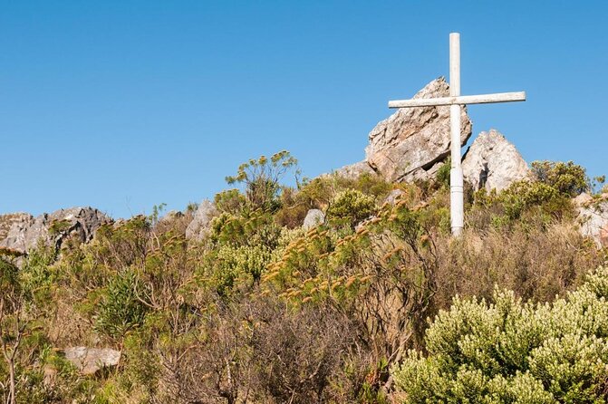 Steam Train to Elgin Railway Market - Why this Cape Town rail trip works