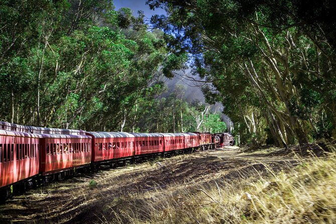 Steam Train to Elgin Railway Market - Is $51.70 good value?