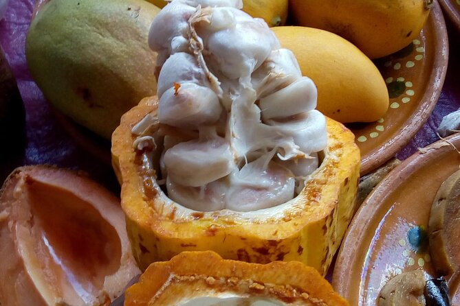 Steps Full of Flavor, Cancun Foodie & Market Tour - What you may taste on the downtown route