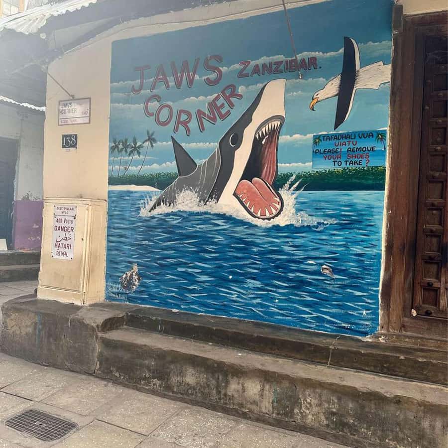 Stone Town Guided Tour: Culture, Slave Market & Spice Market - Key things to know before you book