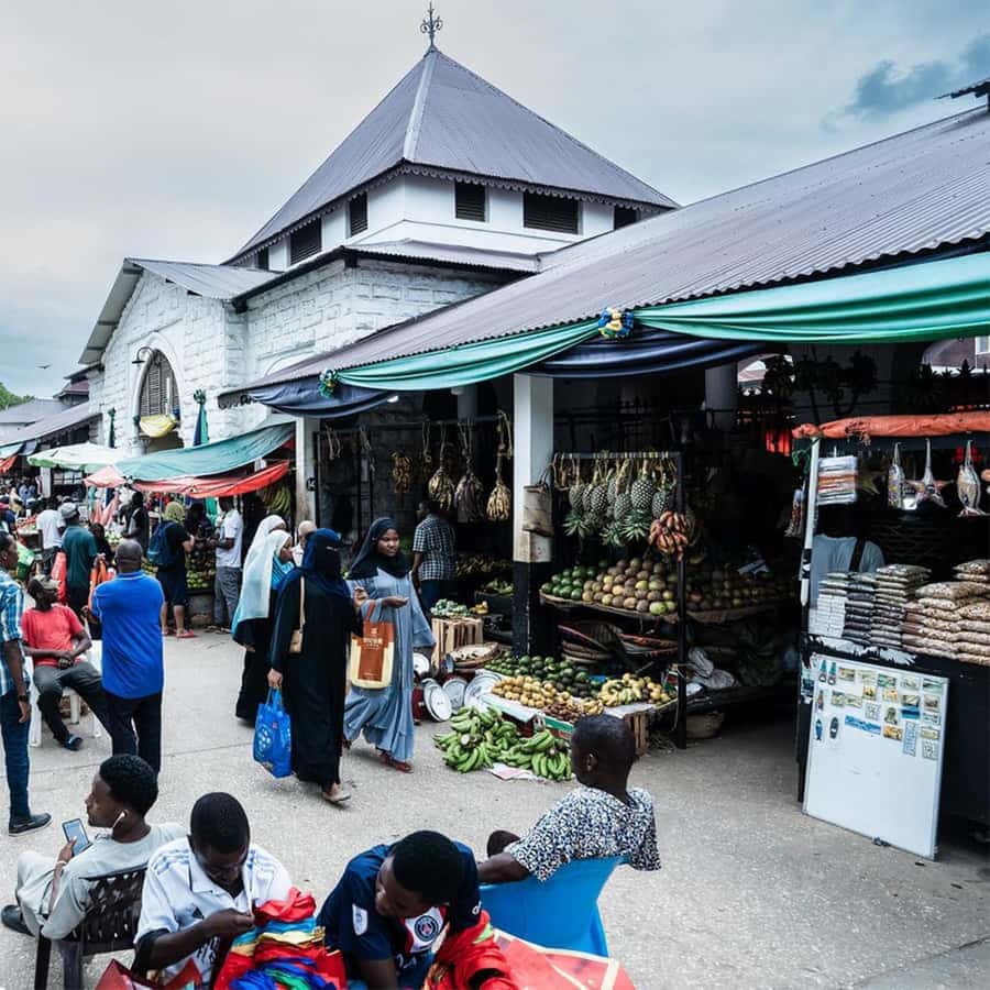 Stone Town Guided Tour: Culture, Slave Market & Spice Market - Darajani Market and the useful side of the tour