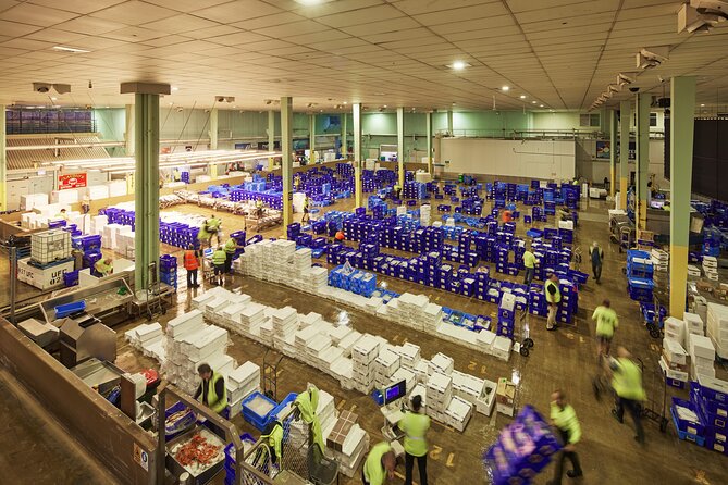 Sydney Fish Market Behind the Scenes Tour - Why the auction floor is the real attraction