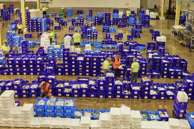 Sydney Fish Market Behind the Scenes Tour - Is $56 a fair price?