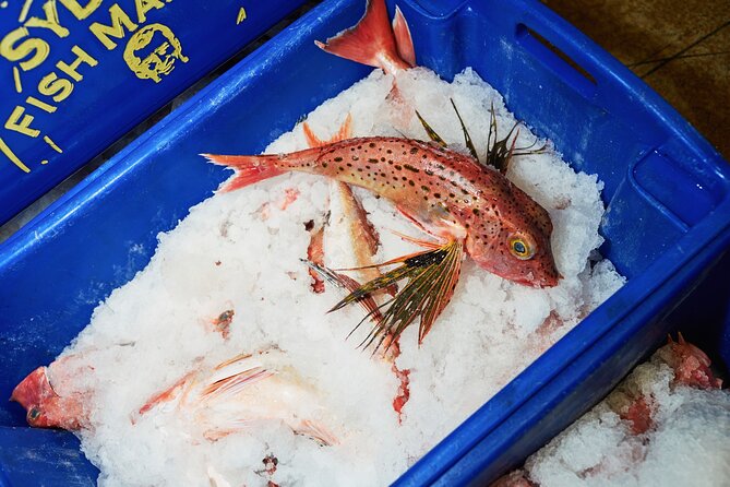 Sydney Fish Market Behind the Scenes Tour - Practical preparation for the 5:50am check-in