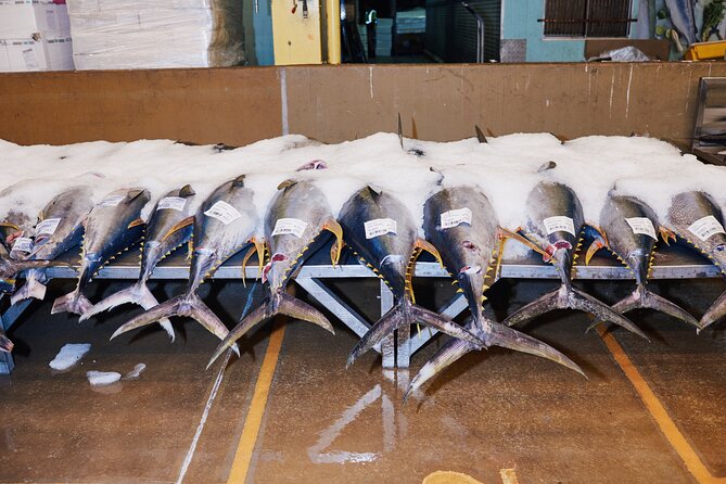 Sydney Fish Market Behind the Scenes Tour - Tuna filleting, oysters, sushi, and live lobsters