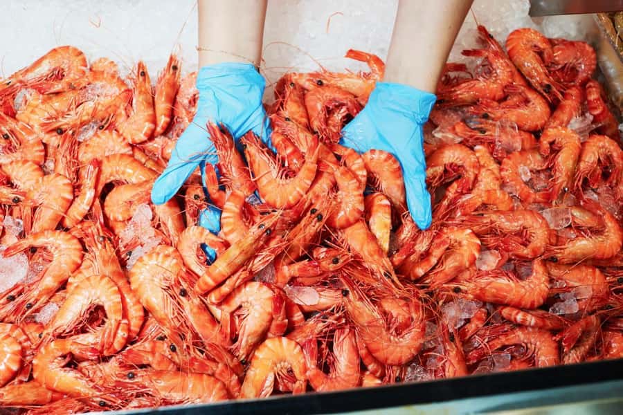 Sydney: Fish Market Food Tour - The auction floor adds useful context