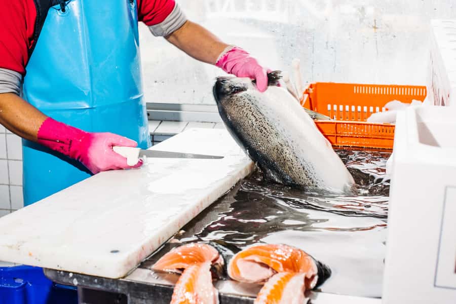 Sydney: Fish Market Food Tour - What makes the guide important
