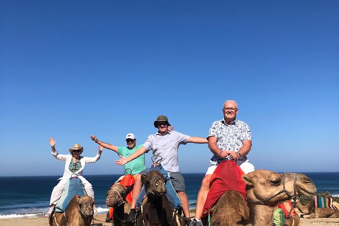 Tangier Private Tour :Medina ,souks, kasbah, caves & camel ride - A camel ride on Tangier’s beach