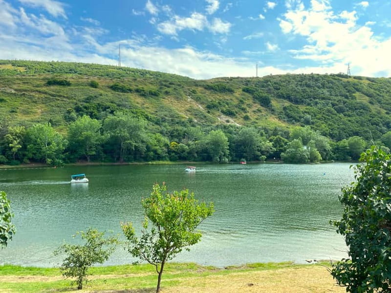 Tbilisi 2 Parks: Turtle Lake & Dedaena Park with Flea Market - What to expect at the flea market