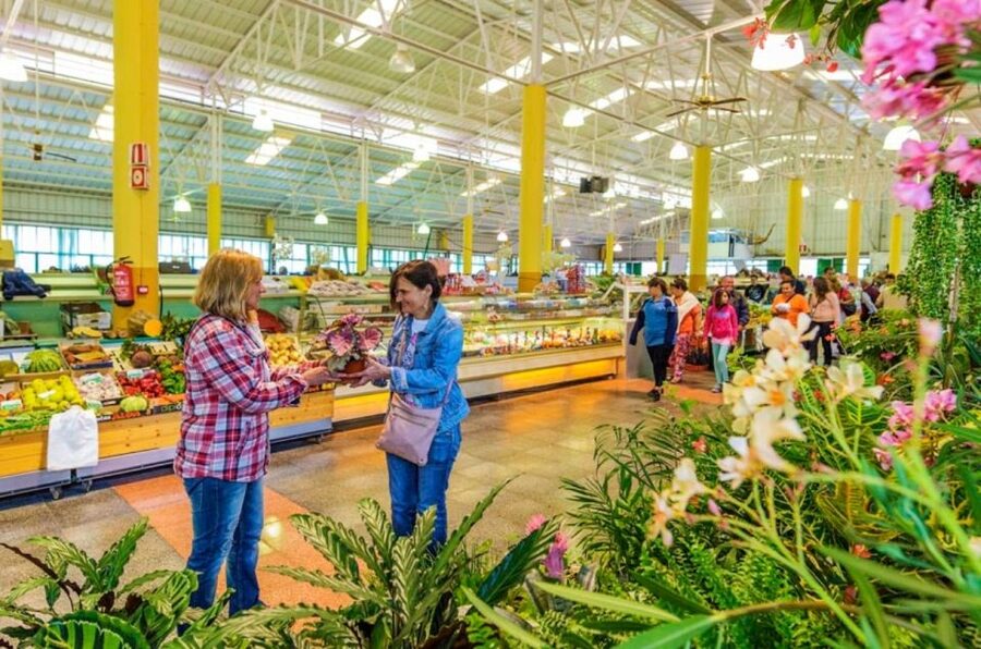 Teror and San Mateo Sunday Market - San Mateo and the flavors of the farming country