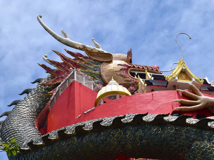 The Souls BKK: Floating Market, Dragon Temple, Na Satta Park - Who should book this experience
