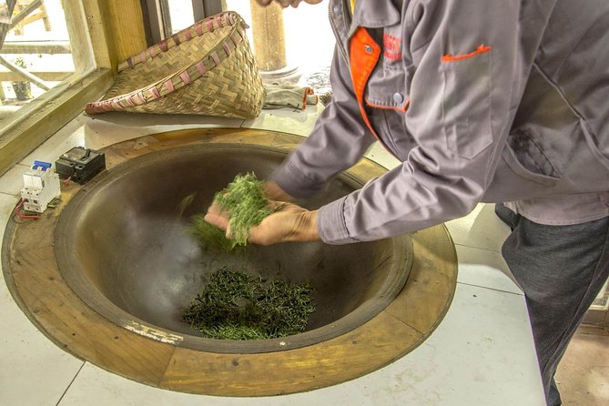Three-Hour Private Chengdu Tea Wholesale Market Tour - What you learn about five types of tea