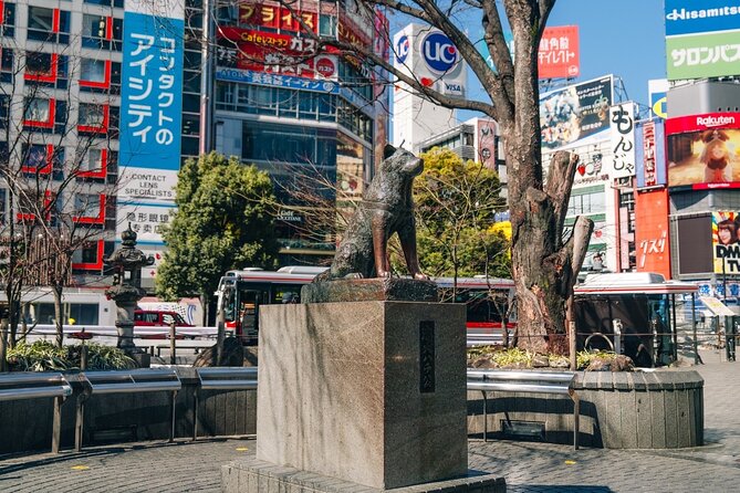 Tokyo Early Morning Tour Asakusa Meiji Shrine (Private Opt) - Meiji Jingu and Tokyo’s forested pause