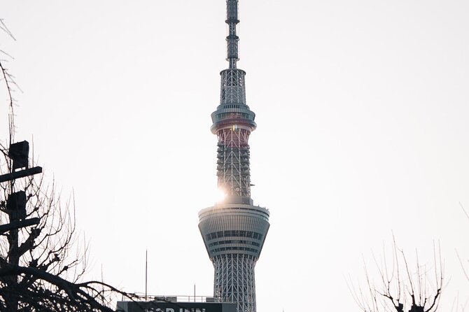 Tokyo Early Morning Tour Asakusa Meiji Shrine (Private Opt) - Small group, private, or self-guided?