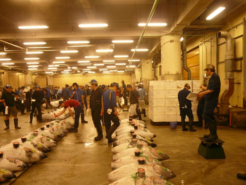 Tokyo: Guided Walking Tour of Tsukiji Market with Lunch - Key points at a glance