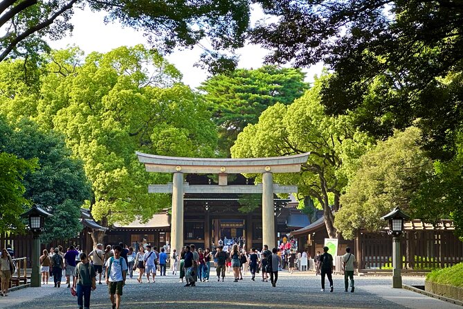 Tokyo Morning Tour: Asakusa, Meiji Shrine and Tsukiji Fish Market - Three sides of Tokyo before lunch