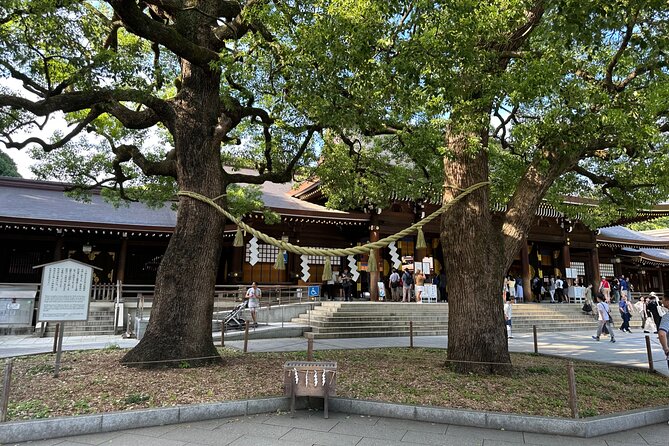 Tokyo Morning Tour: Asakusa, Meiji Shrine and Tsukiji Fish Market - Who should book this morning tour?