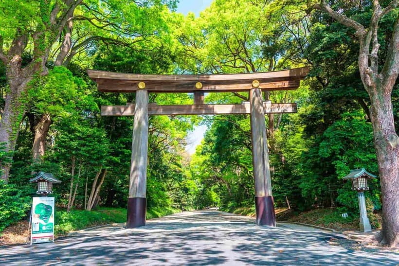 Tokyo Morning Tour: Meiji Shrine, Asakusa & Fish Market - Asakusa: snacks, Senso-ji, and Tokyo’s older face