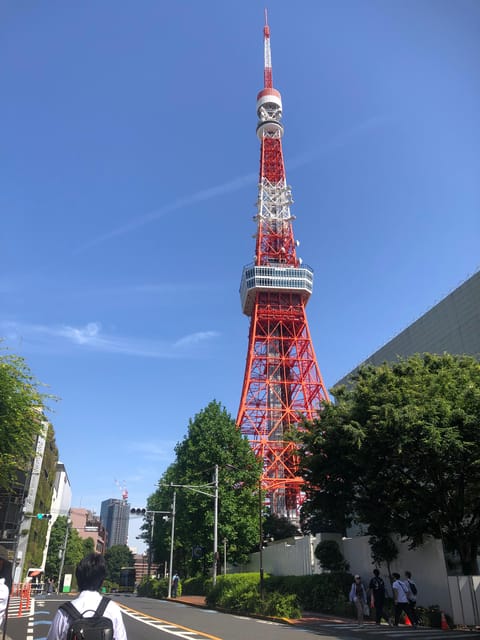 Tokyo Tours in Spanish (Tsukiji Market-Ginza-Tokyo Tower) - Starting at Tsukiji Outer Market