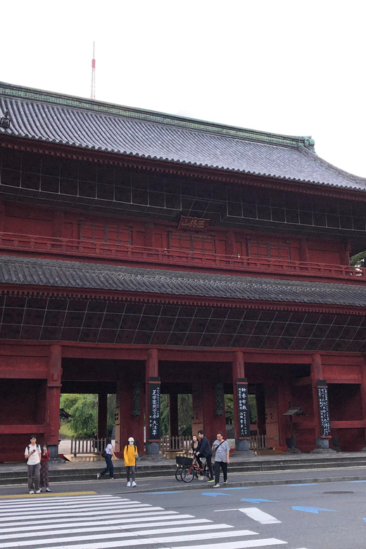 Tokyo Tours in Spanish (Tsukiji Market-Ginza-Tokyo Tower) - Riding the subway like a local