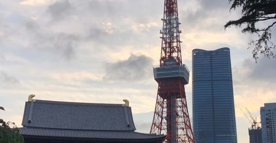 Tokyo Tours in Spanish (Tsukiji Market-Ginza-Tokyo Tower) - Who will enjoy this Tokyo day most