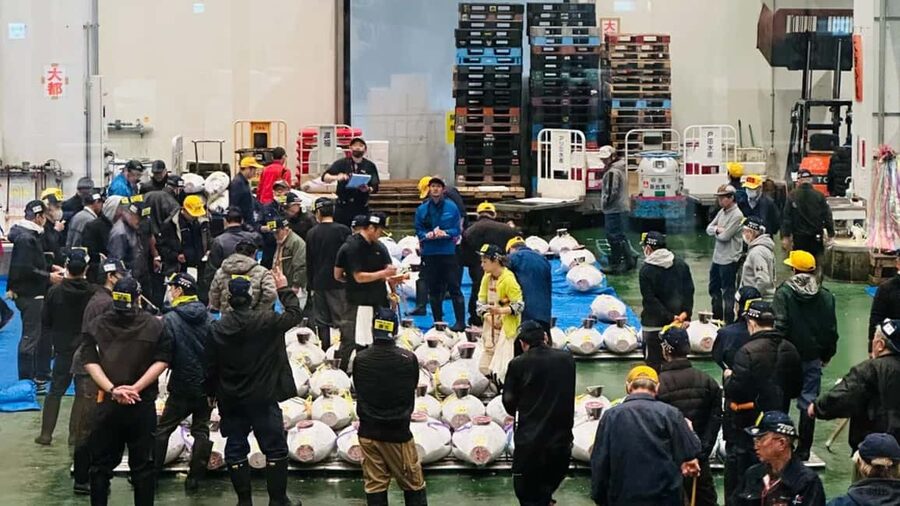 Tokyo: Toyosu Tuna Auction &Tsukiji Market Gourmet Adventure - A short look at Toyosu’s wider market system