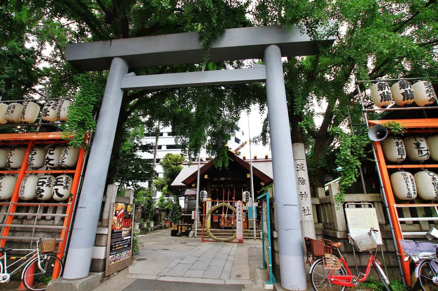 Tokyo : Tsukiji Fish Market Food Walking & Shrine Visit Tour - What the $90 price includes