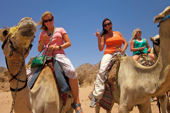 Tour to the Pyramids, Egyptian Museum and Local Bazaar from Cairo - The private car and guide make the difference