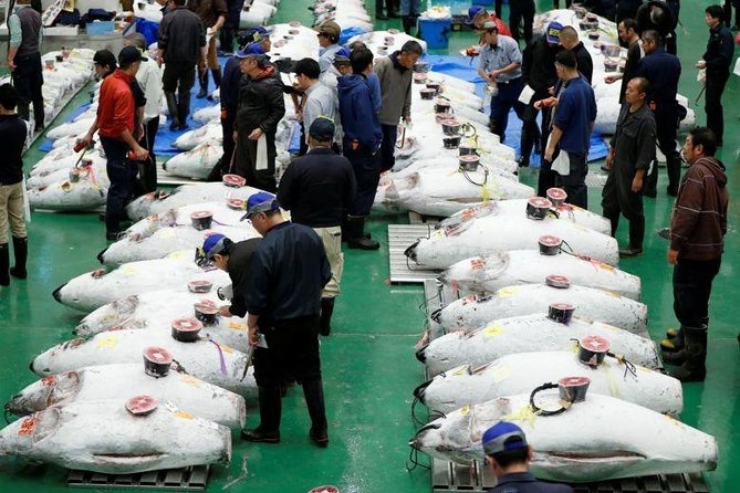 Toyosu Market Morning Tuna Auction and Tsukiji Food Tour with Licensed Guide - Toyosu Market and the public viewing area