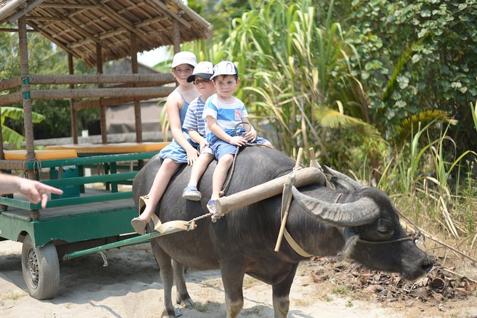 Traditional Cooking Class with Basket Boat Ride and market Tour - From Hoi An market to the cooking school