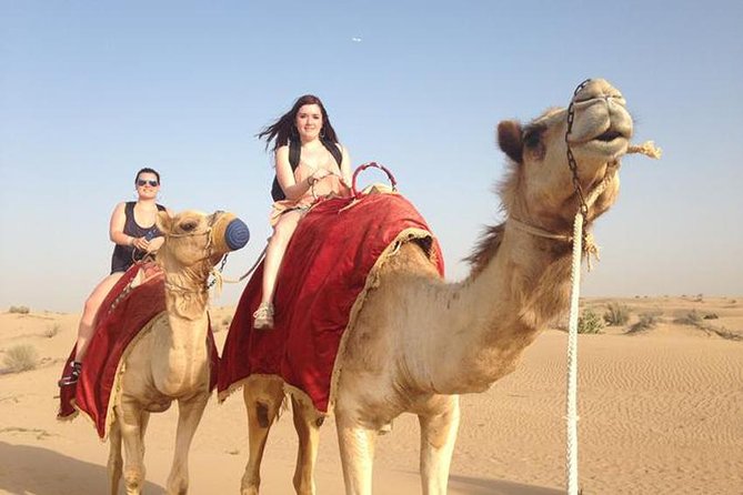 Trip Giza Pyramids, Egyptian Museum, Market,, camel Ride - A full Cairo day for a surprisingly low starting price
