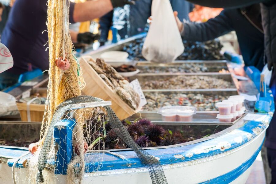 Venice: Market Tour and Meal at a Local's Home - Timing the lunch or dinner properly