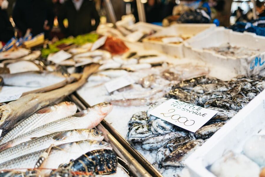 Venice: Rialto Market Tour, Cooking Class, and Lunch - Sitting down to the meal you made