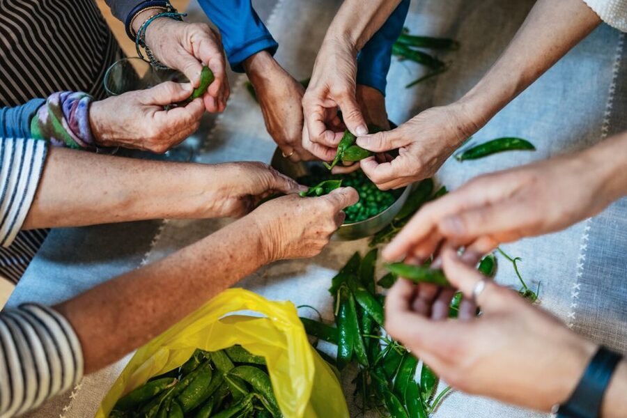 Venice: Rialto Market Tour, Cooking Class, and Lunch - From market shopping to a Venetian kitchen