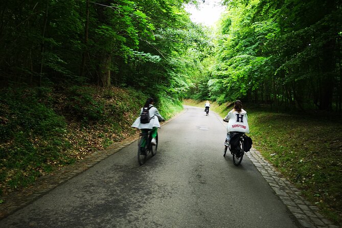 Versailles Full-Day Electric Bike Tour : Market, Picnic & Palace - Saint-Cloud gives you the first big view