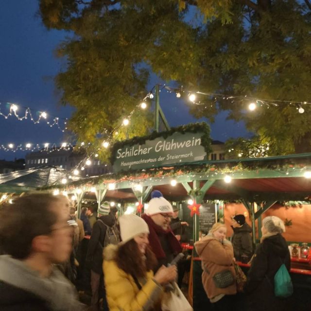 Vienna: Schönbrunn Palace & Christmas Market Walking Tour - The €25 cash fee changes the value