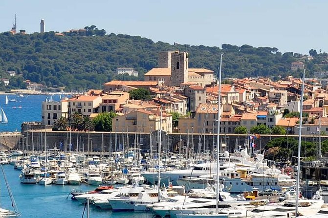 Wine Tasting, Provencal Market, Cannes and St Paul de Vence - Is the $167.75 price fair?